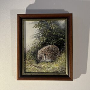 Mike Nance Hedgehog