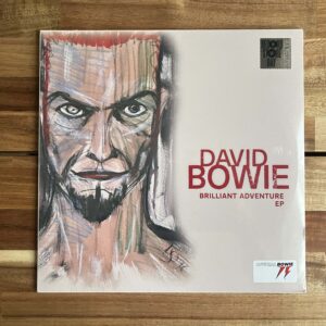 David Bowie Brilliant Adventure